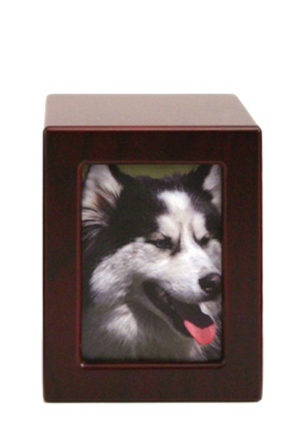 holzerne foto tierurne